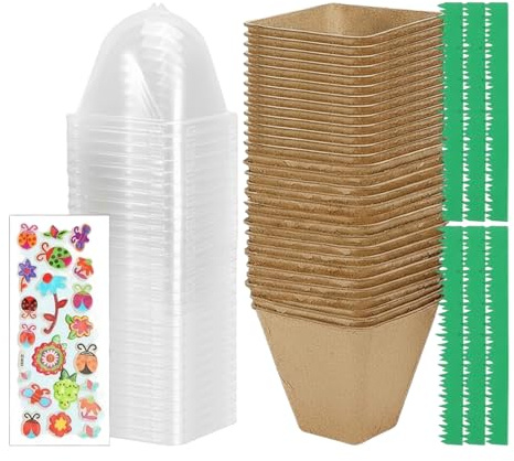 Garten Set Für Kinder | Mint Spielzeug | Gartenspielzeug -Anzucht-Kit Für Kinder | Für Den Innenbereich, Das Zuhause, Den Balkon, Naturkunde, Wissenschaftliche Experimente Und