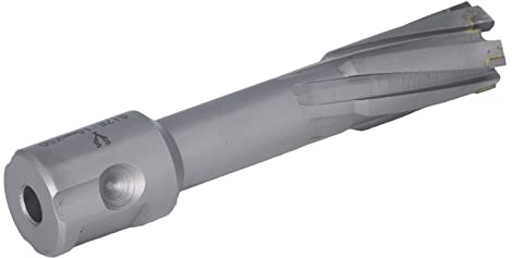 RASTKY Foret à Noyau Creux, Trous Précis à Haute efficacité pour le Travail des Métaux, Foret à Noyau Creux en Carbure 40CR pour Artisans (16mm)