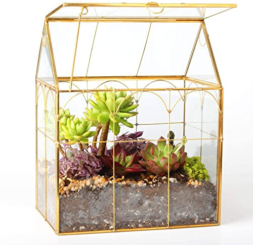 Geometrisches Pflanzgefäß aus Glas, für Sukkulenten und Luftpflanzen, für Zuhause, Garten, Büro, Dekoration (goldfarbenes Haus)