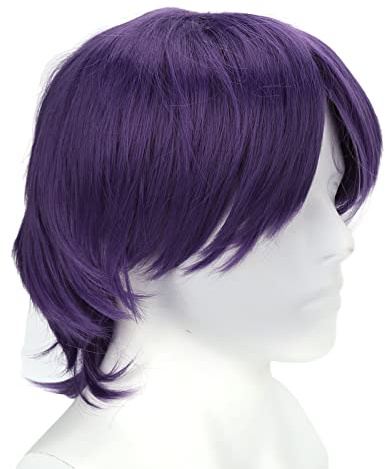 Peluca de Cosplay Morada para Hombres, Peluca Corta de Anime Masculino para Todos los Días, Peluca de Fiesta de Cosplay para Fiesta de Disfraces de Halloween, Peluca Sintética Resistente Al Calor Natu | Estilo anime , transpirable con forro de malla, ideal para cosplay, fiestas de disfraces y uso diario seguro