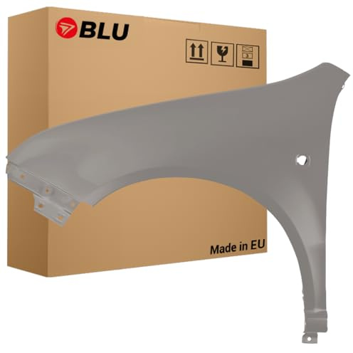 BLU Kotflügel Passend für Skoda Fabia I (6Y) 9202 Links Silber | 1999-2007 | Vorderseite Vorne | Lackiert | Einbaufertig