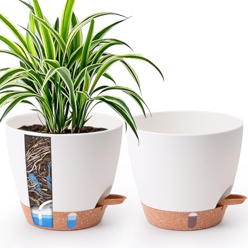 T4U Selbstbewässerungstopf 20 cm 2er Set, für Küche & Balkon，Weiß | Für Basilikum, Rosmarin, Monstera und weitere Pflanzen; sichtbarer Wasserstand erleichtert die Pflege innen oder draußen
