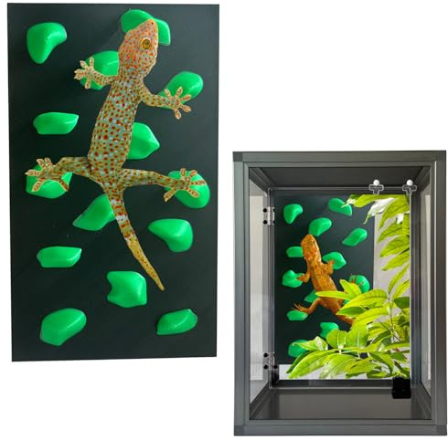 Rock Climbing Wall for Bearded Dragons Climbing Rock Wall Grips for Bearded Dragons Tank Accessories Reptiles Toy (Green)