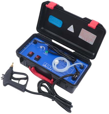Pulitore a vapore ad alta temperatura da 3000 W, 5 bar, pulitore a vapore per auto, pulizia a vapore ad alta pressione, temperatura del vapore: 100-130 °C