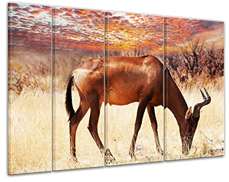 Bilderdepot24 Keilrahmenbild Afrikanische Antilope - 180x120 cm quer mehrteilig Bilder als Leinwanddruck Fotoleinwand Tierbild Afrika - grasende Antilope vor einem imposanten Sonnenuntergang