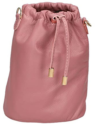 Gave Lux Hobo bag S73_ROSA_ANTICO