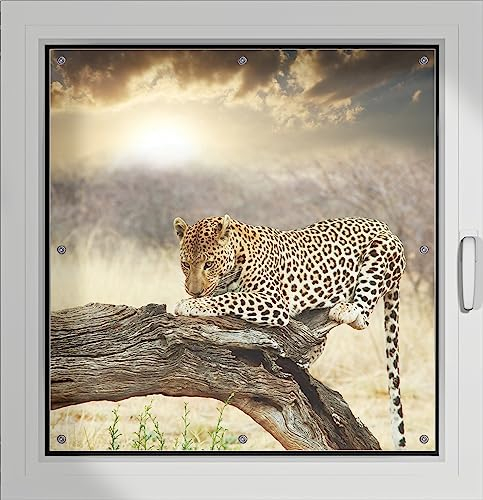 Wallario Lichtschutzbild, Dekorativer Sichtschutz Sonnenschutz 96 x 100 cm mit Motiv: Leopard auf Baumstamm in Afrika - Verdunklungsrollo ohne Bohren