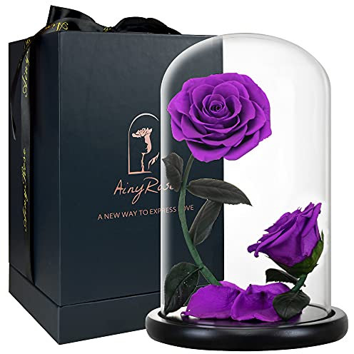 AINYROSE Muttertags-Geburtstagsgeschenke für Frauen, Mutter, Oma, für immer, lila, konservierte Rose, aus echter Schönheitsrose – romantische Geschenke für sie/Mutter, Valentinstag (lila)