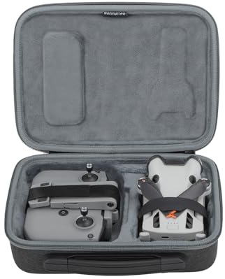 Fututech Förvaringsväska för DJI Mini 4 Pro RC2 RC-N2 bärväska för drönare skyddsväska för fjärrkontroll tillbehör drönare, Typ 1, Portfölj