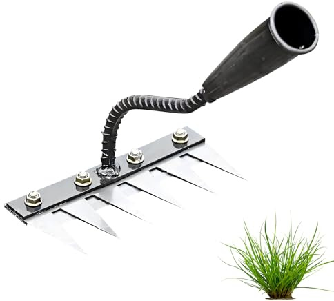 Garden Harke, Rechen Garten Unkrauthacke aus Karbonstahl, 6/7/8 Zähne Grabegabel, Mehrzweck Unkraut Entferner Gerät, Gartenrechen Gartenwerkzeug für Jäten Lockern Säen (6 Zähne)