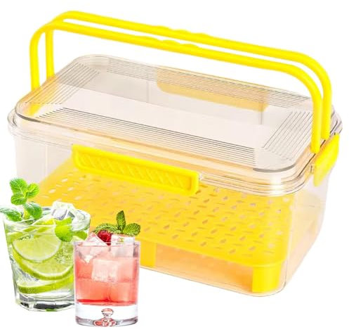 Generico Contenitori per Alimenti,Portavivande per Esterno con Manico - Portavivande Riusabile per Cucina, Picnic, Campeggio, Spuntini, Frutta e Sandwich