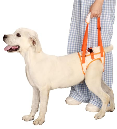 Tragehilfe Hund Groß, Hundegeschirr für Hinterbeine, Hundetrage für Hunde mit Verletzungen, nach Operationen oder Arthritis, Stabil & Atmungsaktiv, Einfach Anzulegen,Hunderollstuhl Alternative XL