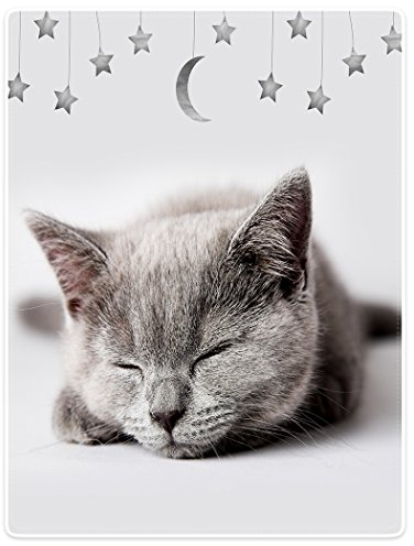 YISUMEI Decke 75x100 cm Kuscheldecken Sanft Flanell Weich Fleecedecke Bettüberwurf Kätzchen Katze Schlaf Star Mond