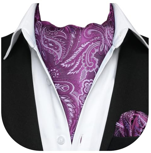 HISDERN Herren Krawattenschal Floral Paisley Ascot Krawatte Hochzeit Business Halstuch und Einstecktuch Set