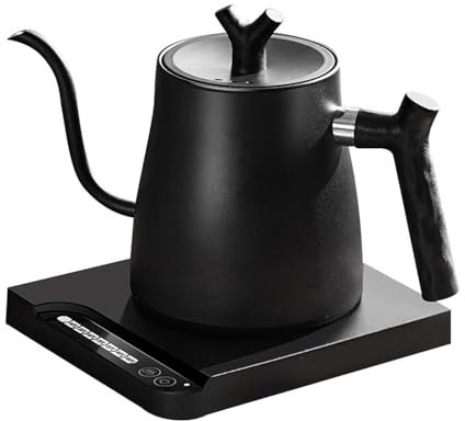 Bouilloire à Col de Cygne, ThéIère éLectrique 1.0L Noir Theiere Electrique en Acier Inoxydable Chauffage Rapide Chaud pour Café et Thé