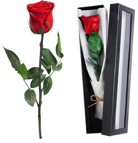 Eternal Rose Red Eternal Real Roses Infinity Roses Gift Box Preserved Box With Stem Preserved Rose is The for Mother,Girlfriend,Wife and Grandmother