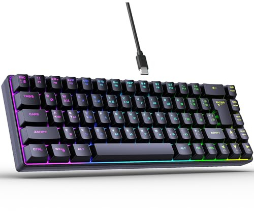 XUMIUZIY Zweisprachige Russisch Englisch Tastatur, Kabelgebundene Mechanische Tastatur mit 68 Tasten und 18 Hintergrundbeleuchtungen, Typ C Konnektivität, Ergonomisches Design, Schnelle (Black)