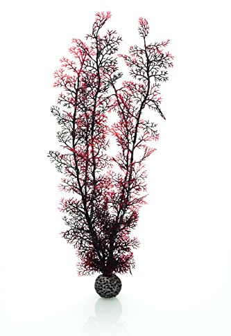 biOrb 46075 Hornkoralle XL dunkelrot - große Aquariendekoration, naturnahe künstliche Koralle aus Kunststoff zur Deko des Aquariums leicht zu reinigen für Süßwasser und Meerwasser geeignet