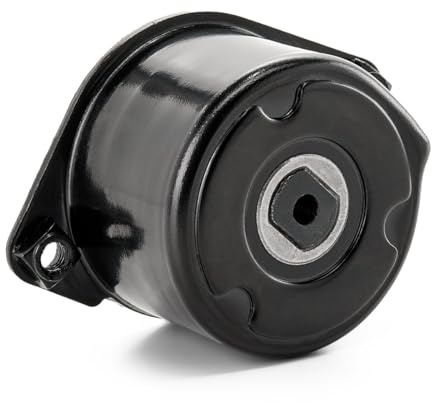 RIDEX 541V0036 Galet tendeur de courroie d'accessoire Arrière Compatible avec BMW 3 Berline E46