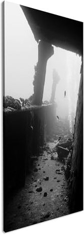 Splendido relitto subacqueo panoramico, 100 x 50 cm, effetto: bianco e nero, stampa digitale di alta qualità con cornice