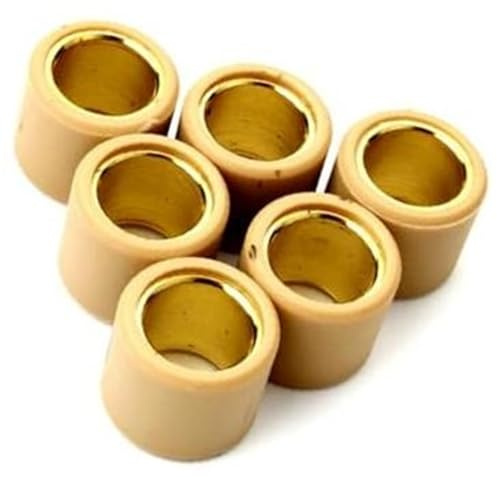 Pizgear Ensemble de poids de rouleau de variateur 6 pièces 7 g 11 g 12 g 13 g 16 g Modèles 20 x 15 mm Compatible avec 125 cc, 150 cc et 200 cc Poids des galets de variateur de scooter(BLACK 20x15mm 13