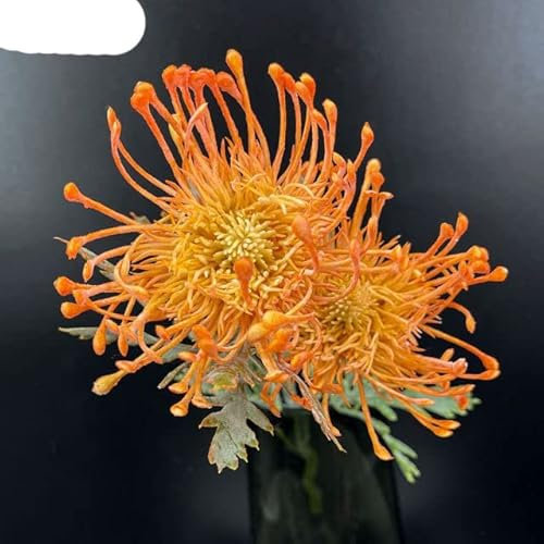 Nadelkissen Kunststoff Künstliche Blume Kurzer Zweig Wohnzimmer Dekoration Hochzeit
