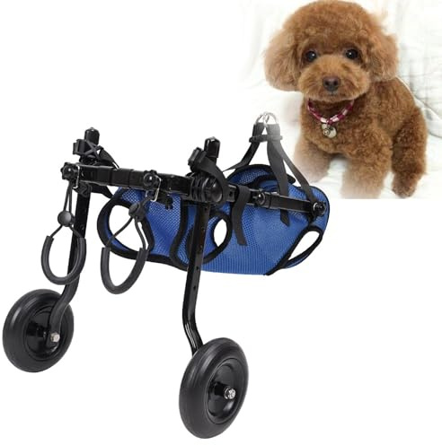ZYREHAW Sedia A Rotelle per Cani Disabili, Carrello per Cane a 2 Ruote, Riabilitazione delle Gambe Posteriori della, Carrello Scooter con 2 Ruote, per Cani di Piccola Taglia S