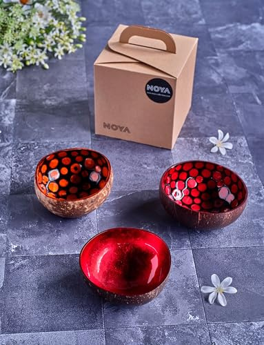 Noya Juego de 3 cuencos de coco de colores surtidos, D14 Cm