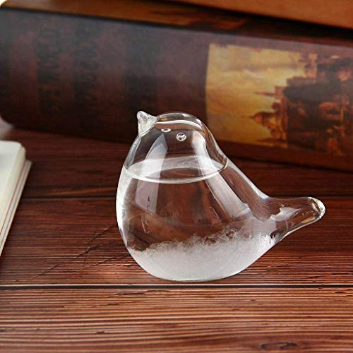 Rancross Storm Glass Weather Forecaster Weather Station Liquid Barometer Weather Predictor Fashion Creative Office Desktop and Home Decorative Weather Glass for Home & Office Durable and Useful