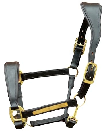 Equipride Anatomisches Lederhalfter, superweich gepolstert, goldfarbene Beschläge, stufenlos verstellbar (Braun, Pony)