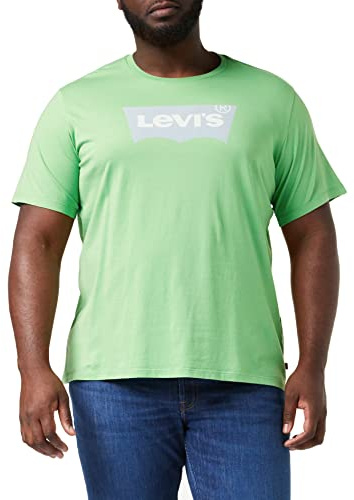 Levi's herr T-tröja Graphic Crewneck Tee, Batwing Logo Peppermint, S