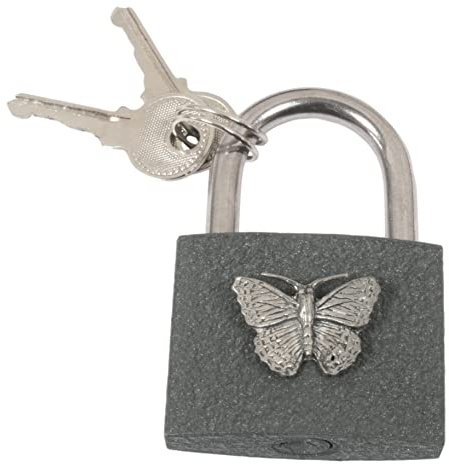 Butterfly S Engraved Padlock Love Lock Wedding Anniversary Valentines Gift Unity Lock Free Engraving 52