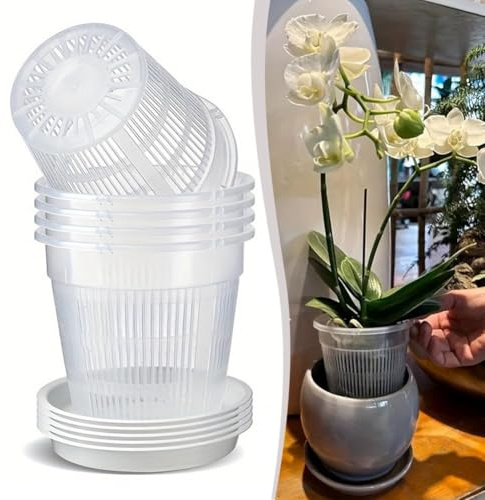 Solución de jardinería sostenible, paquete de seis orquídeas transparentes con platillo a juego para cada jardinero (4 cm)