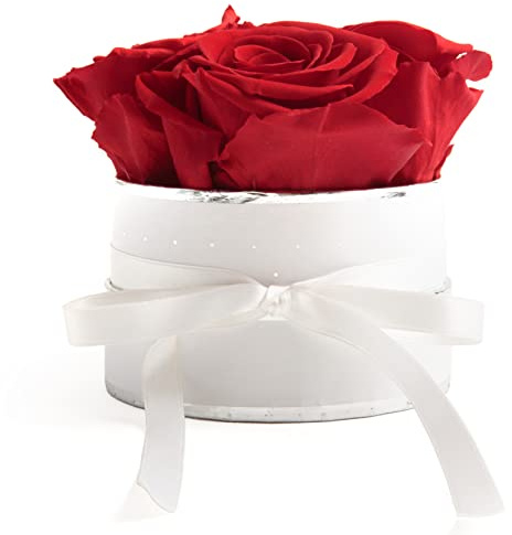 ROSEMARIE SCHULZ Heidelberg Rosenbox rund Infinity Rosen Rot - Blumenbox weiß 4 konservierte Rosen haltbar 3 Jahre Durchmesser ca. 10cm - Frauen Geschenk für Freundin (Small, Weiß-Rot)