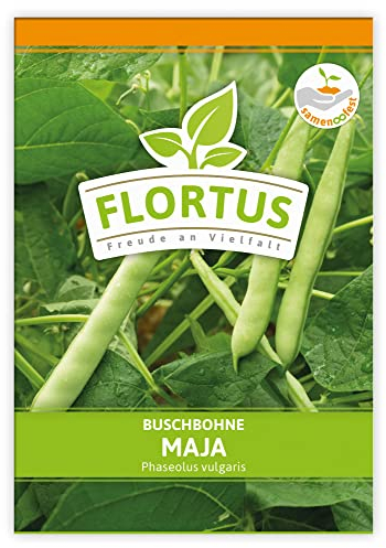 FLORTUS Buschbohne Maja | Gemüsesamen | Bohnensamen | Buschbohnensamen | Samen zur Anzucht für Garten, Balkon, Küche & Fensterbank
