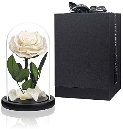 Preserved Rose White Roses in Glass Dome, Long Lating Rose Real Roses Never Withered Flower Gifts for Her, Valentine's Day, Mother's Day, Birthday, Christmas Medium