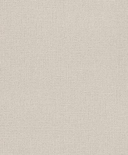 Rasch Tapeten Vliestapete (universell) Beige 10,05 m x 0,53 m Andy Wand 639629