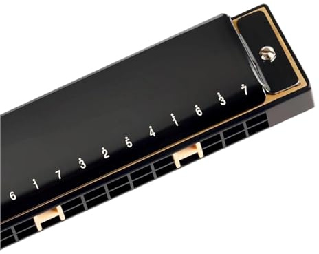 Mundharmonika Anfänger Tremolo 24-Loch Tonart C Blues Harp Mundharmonika Für Anfänger-Kit(Black)