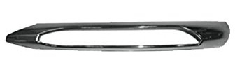 Equal Quality G2829 Zierleiste Beleuchtung/Schutzhülle, Kühlergitter