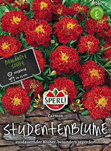 Sperli Studentenblumen Carmen | besonders regenfest | robust | rot | Päckchen Saatgut