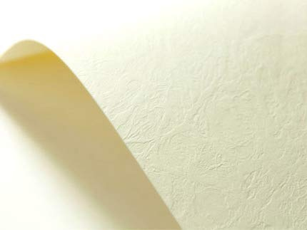 Netuno 20x Strukturkarton Creme ledergenarbt DIN A4 21 x 29,7 cm 246g Elfenbeinkarton Chamois strukturiert cremefarben für Visitenkarten Einladungs-Karten Zertifikate