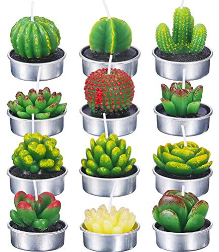 Ejoyous Velas de Cactus Suculentas, Juego de 12 Velas de té Suculentas Delicadas para Fiestas, Bodas, SPA, Decoración del Hogar, Regalos, Velas de Plantas para un Ambiente Acogedor (Azul)