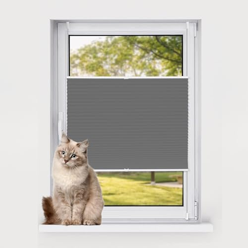 Easy Install Fensterrollo, kabellos, einfach nach oben und unten, 75 x 90 cm, Grau, ideal für Zuhause, Büro und Schlafzimmer