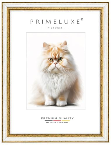PrimeLuxe Massiv Holz Bilderrahmen - Maßanfertigung 15 x 30 cm in Alt-Weiß Gold | Größe wählbar | mit entspiegeltem Acrylglas | Rahmen für Poster | Puzzle | Foto collage