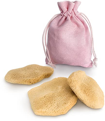 tom&pat Gesichtsschwamm Naturschwamm, wiederverwendbar, Dermatest: Sehr gut, Make up Entfernung & Gesichtsreinigung, Abschminkschwamm aus Griechenland, Naturkosmetik, eBook: Skincare Tools (3x 5-7 cm)