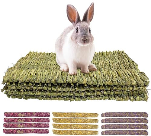 HTRTRR 4 Stück handgewebte Kaninchengrasmatte, natürliches essbares Kauspielzeug, Kauspielzeug natürliche Stoffmatte, für Kleintiere Tonstangen für Kaninchen, Meerschweinchen, Hamster