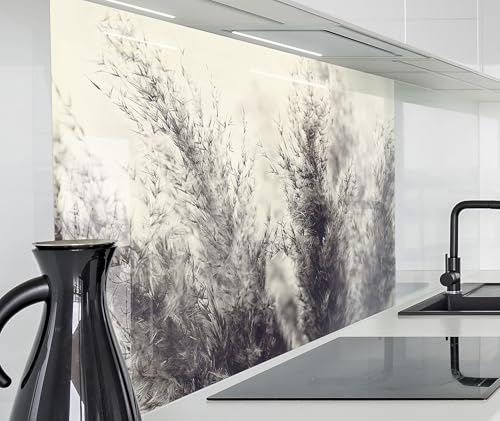 timalo Spritzschutz Wand für Herd, Küche Küchenrückwand Glasoptik | Acryl Glas 2mm | Glasrückwand Acrylglas Wandpaneele Rückwandschutz Platte | 120x60cm Pampasgras