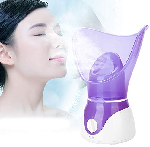 Vapore facciale Nano ionico viso spruzzatore a nebbia calda casa sauna SPA umidificatore atomizzatore macchina per aromaterapia per la pelle pulizia profonda Idratante punti neri