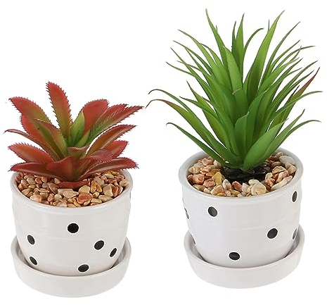 Toddmomy 2stücke Künstliche Agave Gladiolen Topfpflanzen Im Nordischen Stil Simulation Bonsai Für Wohn Und Büroeinrichtung Pack Kein Gießen Erforderlich