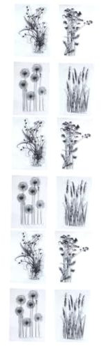 Lurrose 9 Stk Stempel dekorativ Silikon-Siegelstempel Prägeplatten Silikon klar Vorräte machen Pflanzendekor aufkleber Scrapbooking-Stempel Silikonstempel fein Briefmarke Anlage schmücken